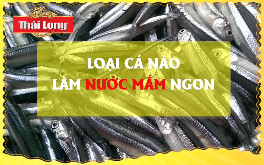 LOẠI CÁ NÀO LÀM ĐƯỢC NƯỚC MẮM NGON